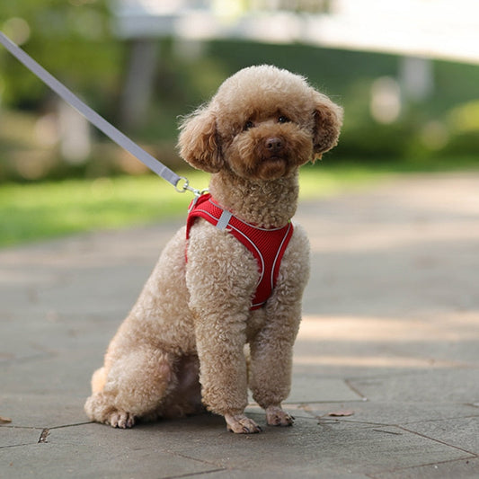 Passions™ Verstelbare Puppy Vest