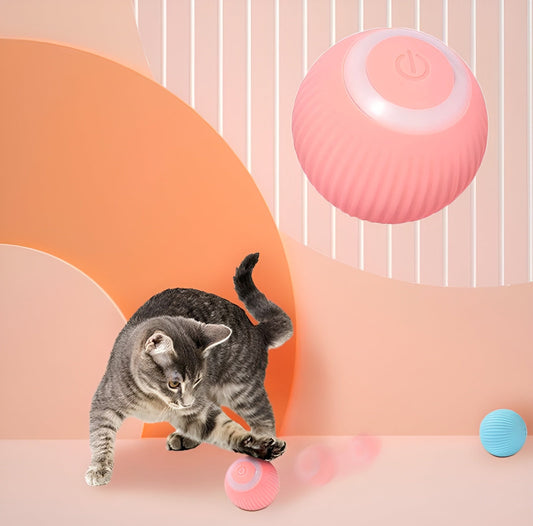 Endloser Spaß für Ihre Katze | 1+1 GRATIS