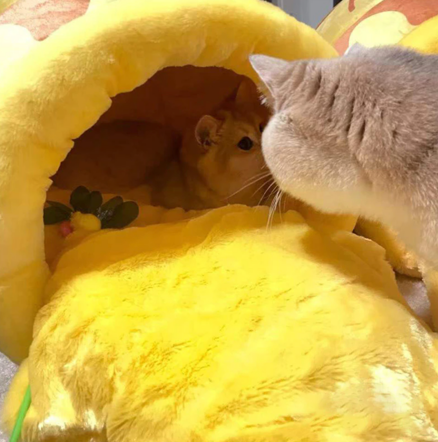 Honigglas-Katzenbett