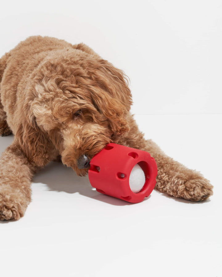 FetchJoy – Fördern Sie Gesundheit und Glück mit interaktivem Kauspielzeug für Hunde | 50% RABATT