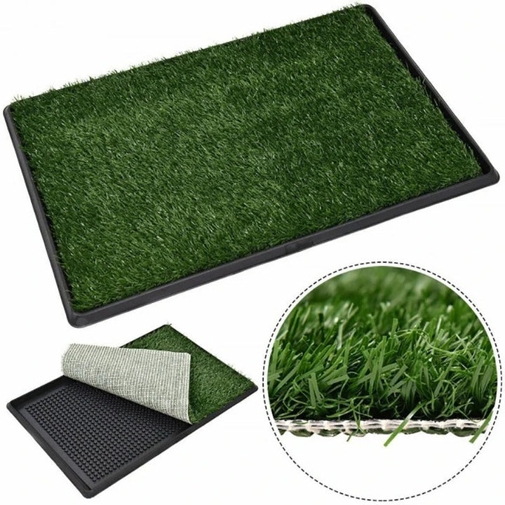 PawEase - Hundetöpfchentraining Grasmatte | 50% RABATT