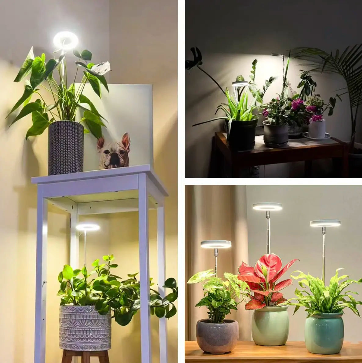 Pflanzenlampe mit Vollspektrum und verstellbarem Ständer