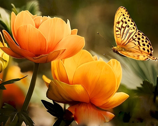 2+1 gratis! - Malen nach Zahlen -  2+1 gratis! - Malen nach Zahlen -  Gelbe Blumen und Schmetterling Malen nach Zahlen