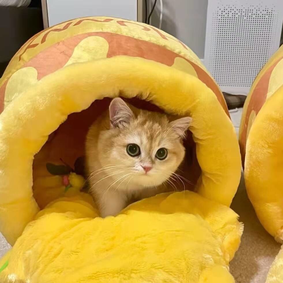 Honigglas-Katzenbett