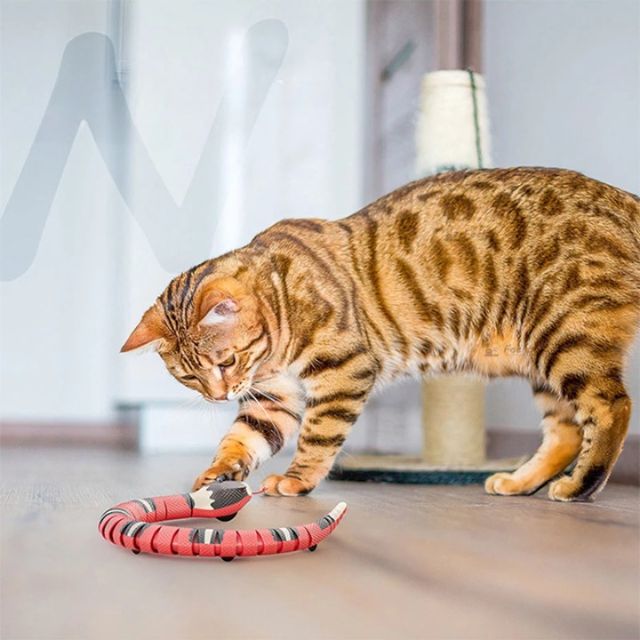 Snakey™️ - Lass deine Katze stundenlang spielen
