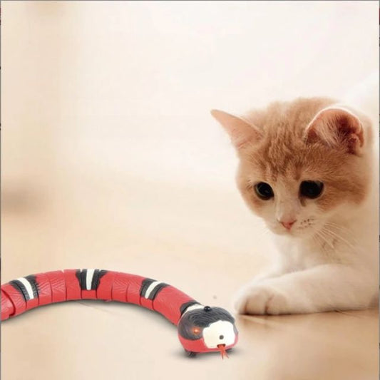 Snakey™️ - Lass deine Katze stundenlang spielen