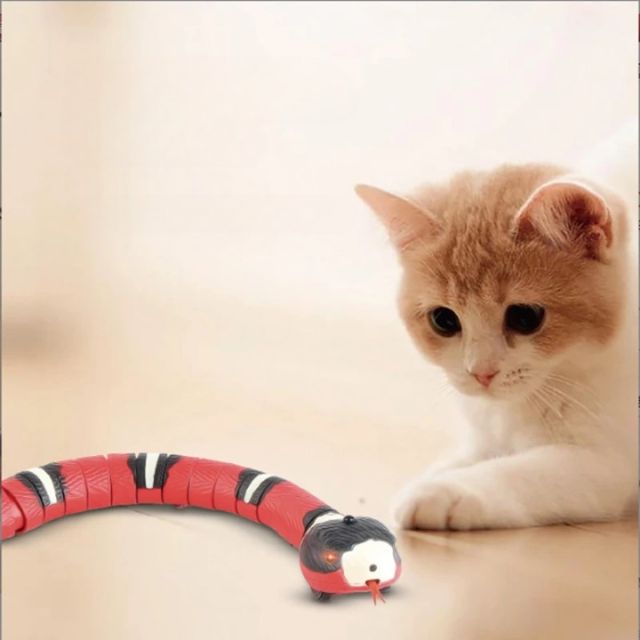 Snakey™️ - Lass deine Katze stundenlang spielen